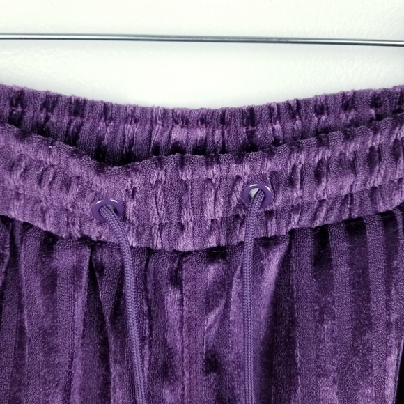 Urban Outfitters Plum Striped Velvet Suede Shorts NWT - Picture 8 of 9